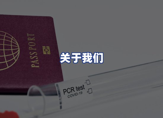 专业团队